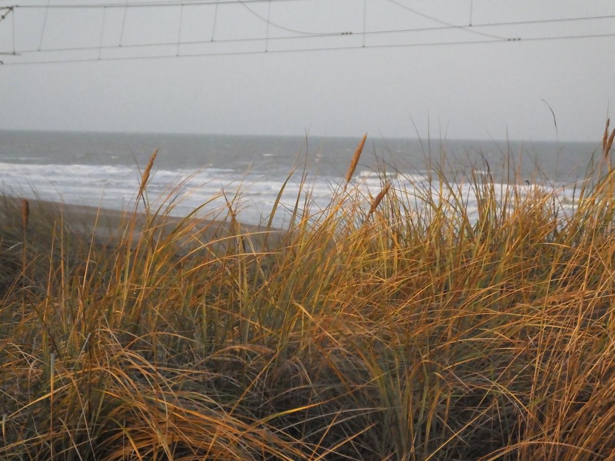 Sable D'O -Vlak Aan De Zee- Bed & Breakfast Mariakerke  Eksteriør bilde